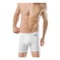 Preview: Schiesser Herren Pants mit Eingriff Authentic 2er Pack Shorts