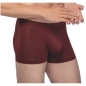 Preview: Ammann Herren Pants Tencel Retroshort