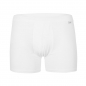 Preview: Esge Herren Short Elastic-Single Monaco Hose kurz Unterhose