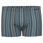 Preview: Ammann Herren Pants Fashion Retroshorts