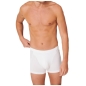 Preview: Schiesser Herren Shorts Organic Cotton - 95/5