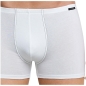 Preview: Schiesser Herren Pants Essentials 2er Pack Shorts